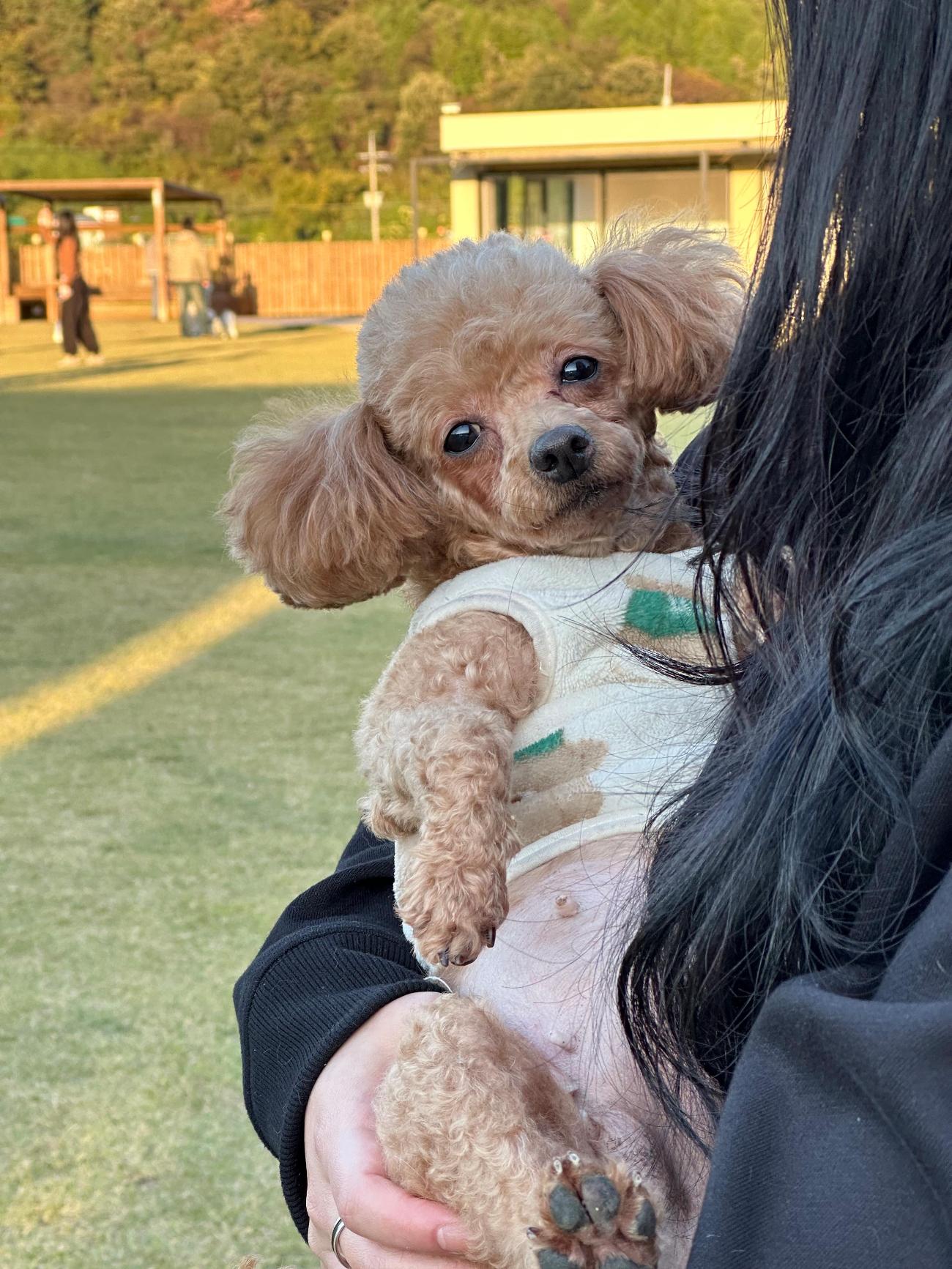 사랑동물병원_431370202500805